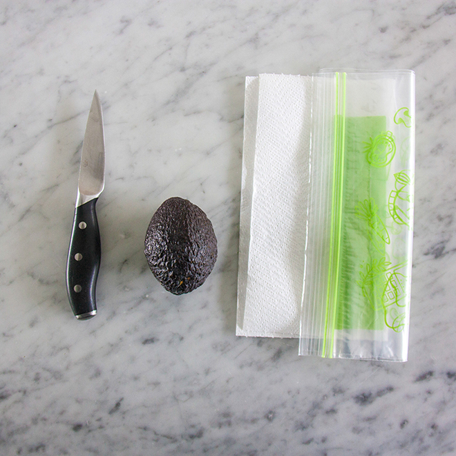 Material needed : a knife, an avocado, a plastic bag and a towel, by Botanopia