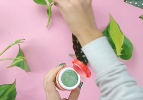 Rooting hormone powder