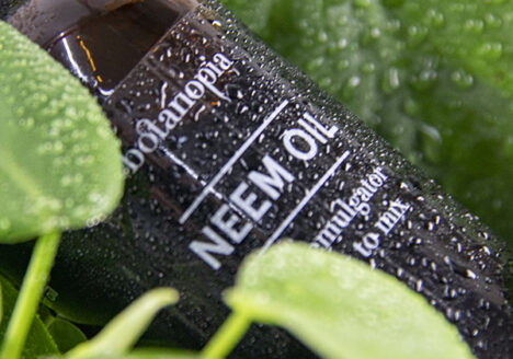 Neem Oil in glass bottle
