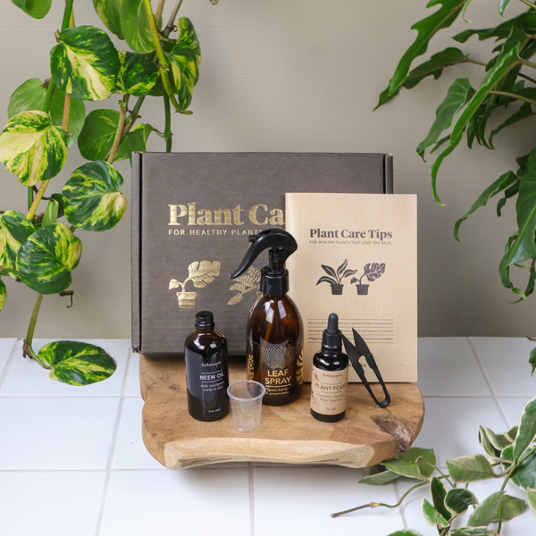 Plant care kit in the jungle with all the product leaf spray bottle, neem oil, plant food, measuring cup, bonsai scissors and plant care tips book