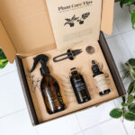 Plant care kit from above with all the product laying in the box leaf spray bottle, neem oil, plant food, measuring cup, bonsai scissors and plant care tips book