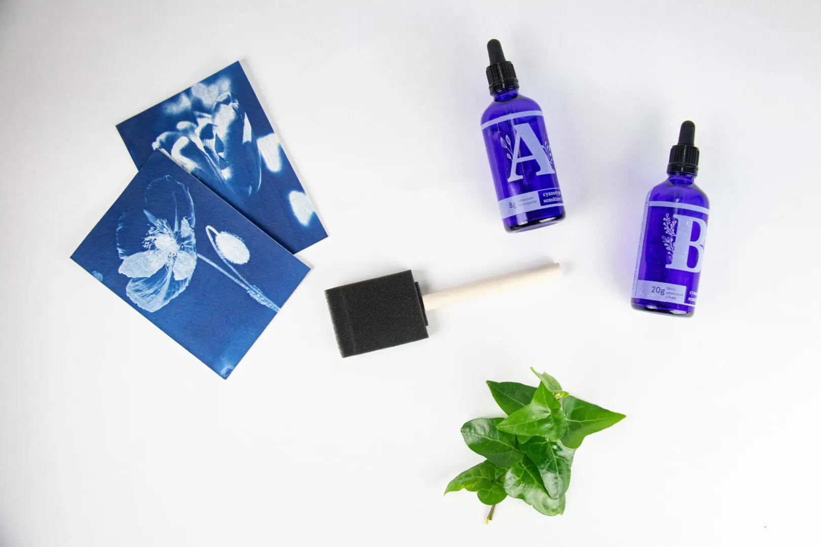 Cyanotype Kit by Botanopia – Upstate MN