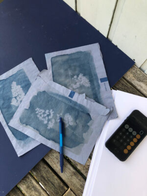 Botanopia Cyanotype prints on envelopes on working space with phone and pen