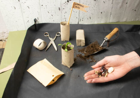 video tutorial make your own seed pots from TP rolls