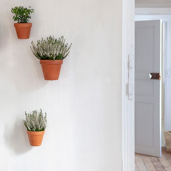 Clippy wall mounting kit for 5 plant pots by Botanopia