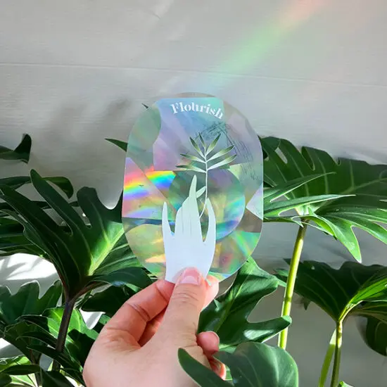 Rainbow Maker Sticker - create rainbows anywhere - Botanopia USA