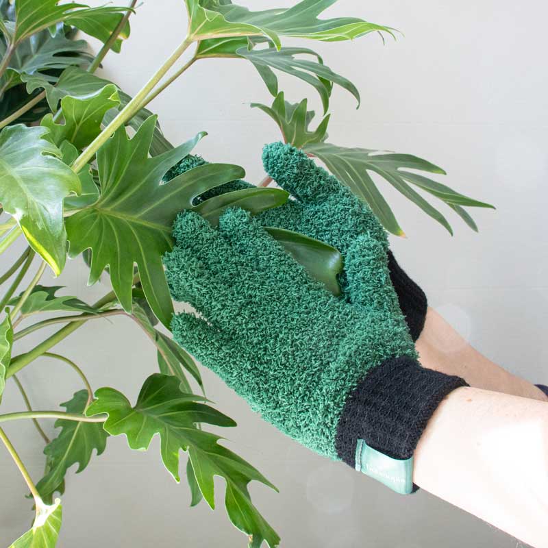 leaf-love-glove-botanopia-dusting-gloves-for-plants-thumbnail.jpg